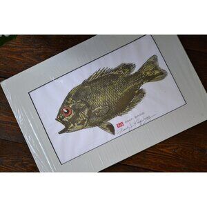 16" x 11" Frank Kingsbury "Rock Bass" Japanese art‎ form Gyotaku unframed fish